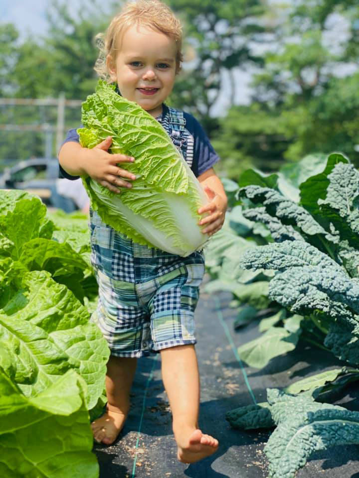 Toddler holding a large cabbage, surrounded by other vegetables