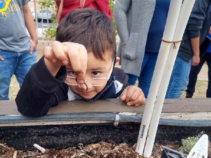 A young boy holds up a worm at one of the project sites from last year's initiative in Phoenix, AZ.