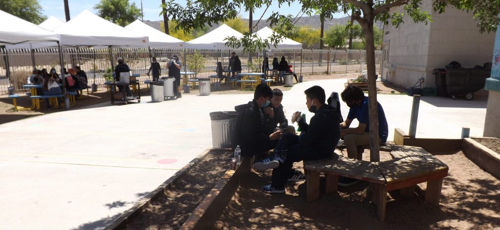 Children eating lunch under tree