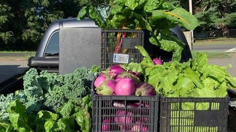 Produce at the Salem, MA market