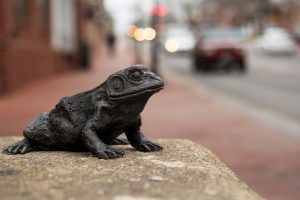 Photo of a bronze frog on the streets of Blacksburg, VA.